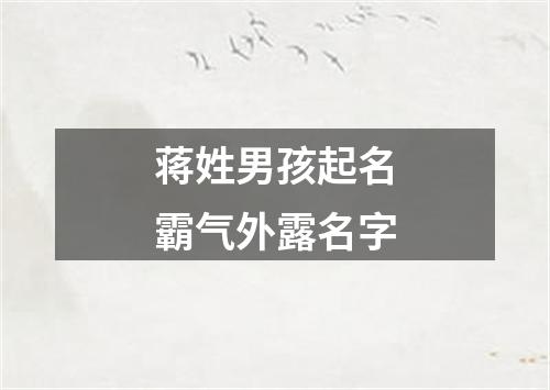 蒋姓男孩起名霸气外露名字