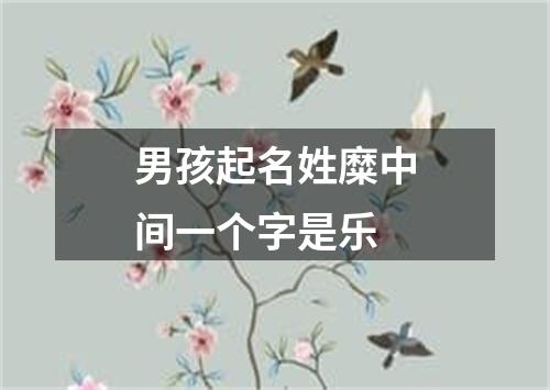 男孩起名姓糜中间一个字是乐