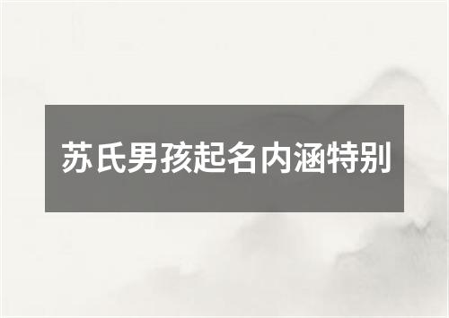 苏氏男孩起名内涵特别