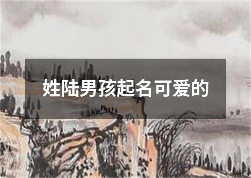 姓陆男孩起名可爱的