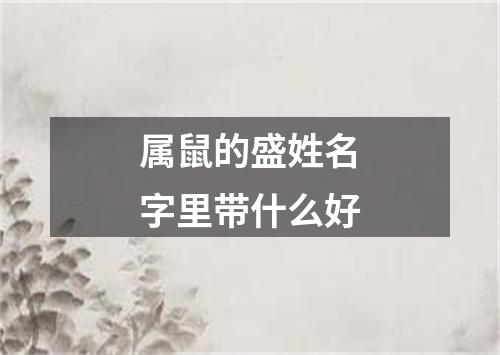 属鼠的盛姓名字里带什么好