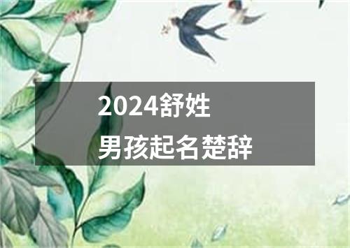 2024舒姓男孩起名楚辞