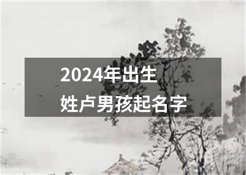 2024年出生姓卢男孩起名字