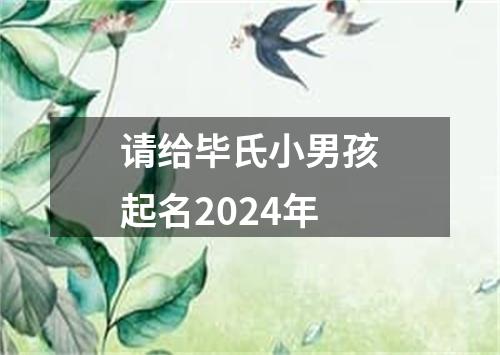 请给毕氏小男孩起名2024年