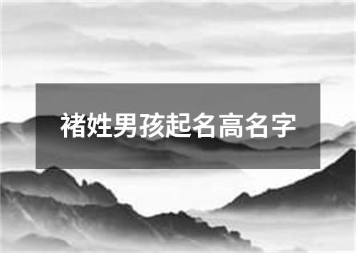 褚姓男孩起名高名字