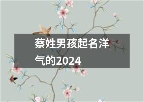 蔡姓男孩起名洋气的2024