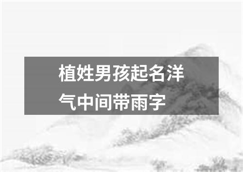 植姓男孩起名洋气中间带雨字