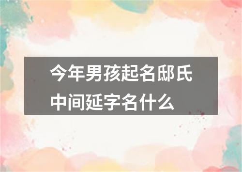 今年男孩起名邸氏中间延字名什么