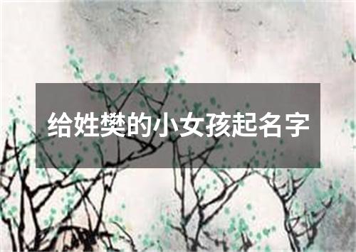 给姓樊的小女孩起名字