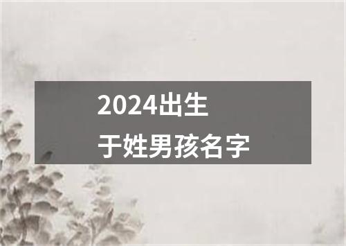 2024出生于姓男孩名字