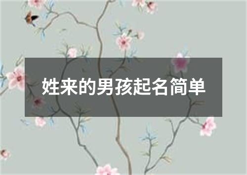 姓来的男孩起名简单