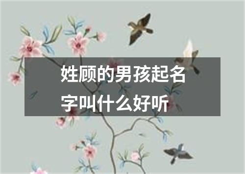 姓顾的男孩起名字叫什么好听