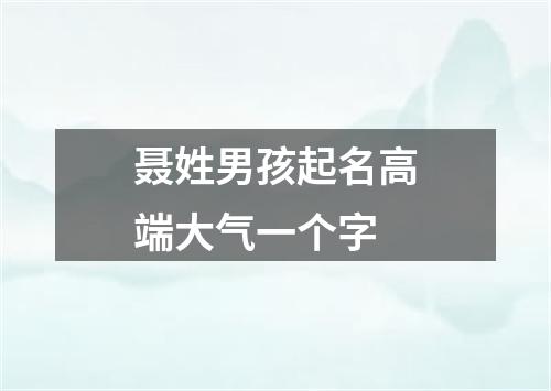 聂姓男孩起名高端大气一个字