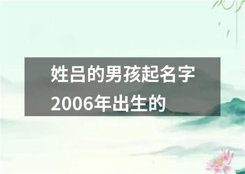 姓吕的男孩起名字2006年出生的