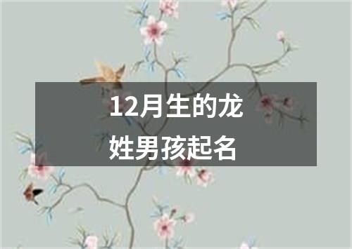 12月生的龙姓男孩起名