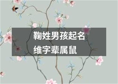 鞠姓男孩起名维字辈属鼠