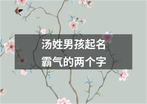 汤姓男孩起名霸气的两个字