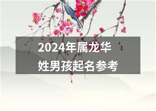 2024年属龙华姓男孩起名参考