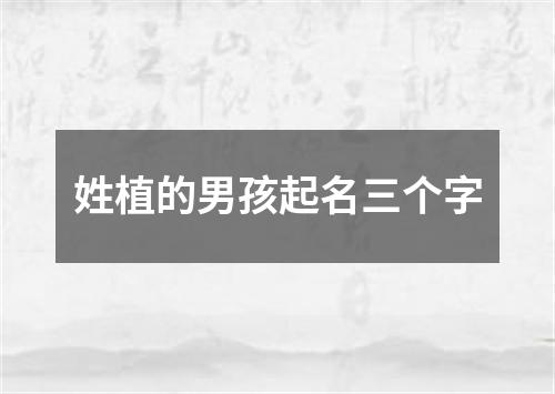 姓植的男孩起名三个字