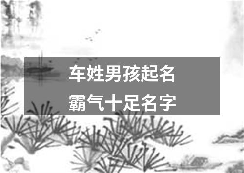 车姓男孩起名霸气十足名字