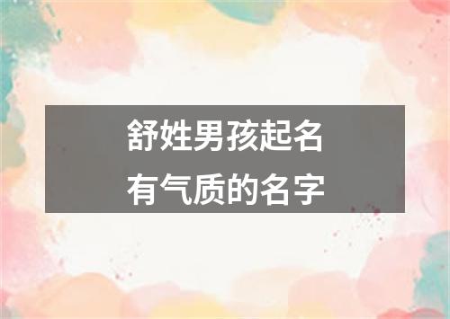 舒姓男孩起名有气质的名字