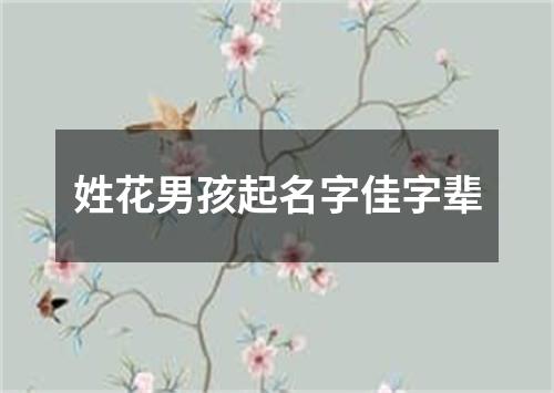 姓花男孩起名字佳字辈