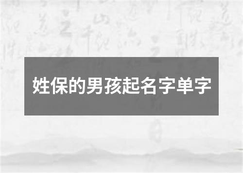 姓保的男孩起名字单字