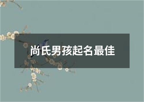 尚氏男孩起名最佳