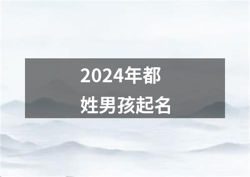 2024年都姓男孩起名