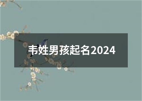 韦姓男孩起名2024