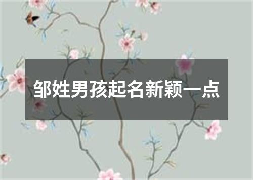 邹姓男孩起名新颖一点