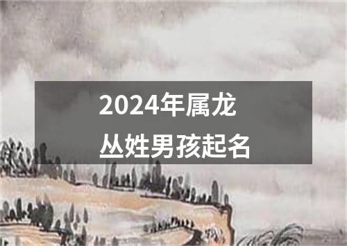 2024年属龙丛姓男孩起名