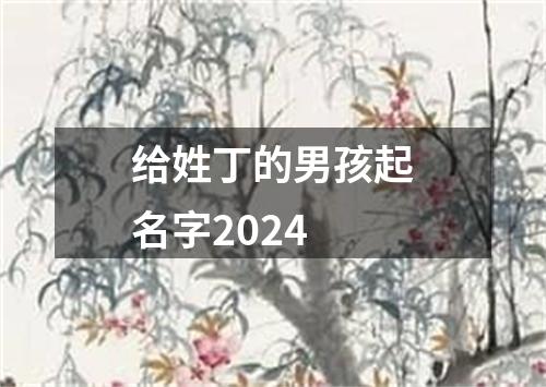 给姓丁的男孩起名字2024