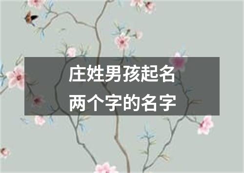 庄姓男孩起名两个字的名字