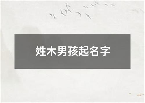 姓木男孩起名字