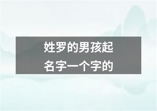 姓罗的男孩起名字一个字的