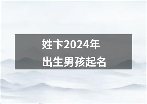 姓卞2024年出生男孩起名