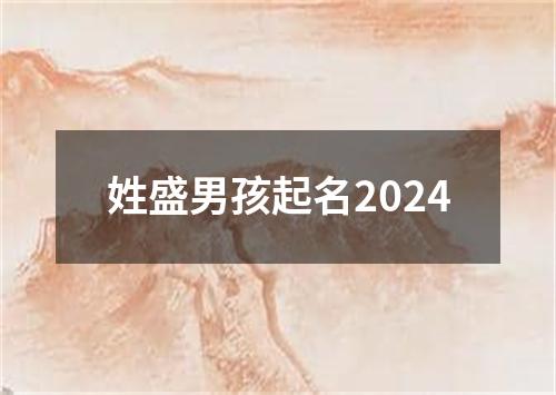 姓盛男孩起名2024