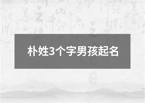 朴姓3个字男孩起名