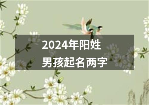 2024年阳姓男孩起名两字