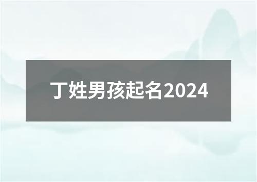 丁姓男孩起名2024