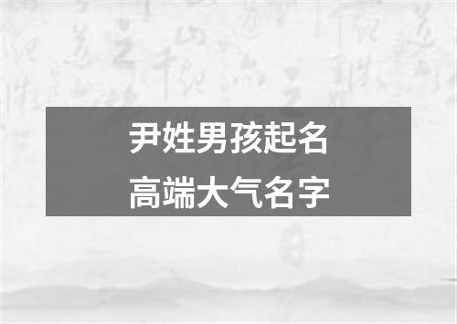 尹姓男孩起名高端大气名字