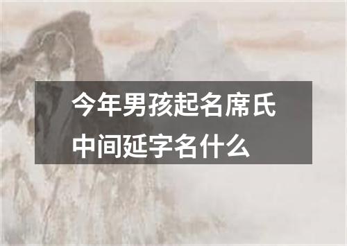 今年男孩起名席氏中间延字名什么