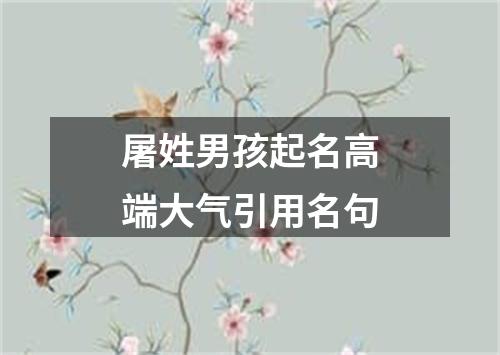 屠姓男孩起名高端大气引用名句