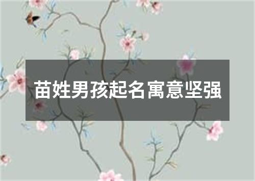 苗姓男孩起名寓意坚强