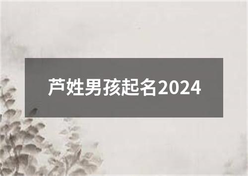 芦姓男孩起名2024