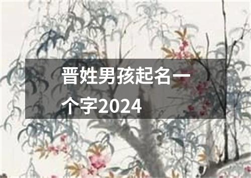 晋姓男孩起名一个字2024