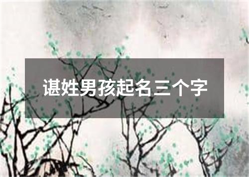 谌姓男孩起名三个字