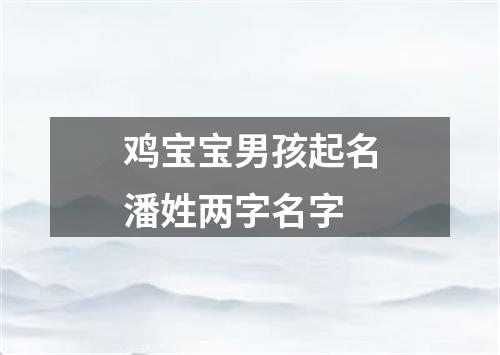 鸡宝宝男孩起名潘姓两字名字