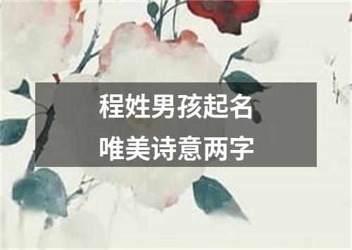 程姓男孩起名唯美诗意两字